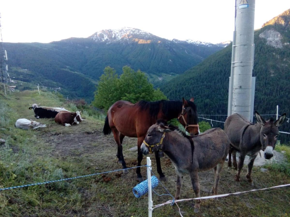 Agri-B&B Lou Col Canosio Εξωτερικό φωτογραφία
