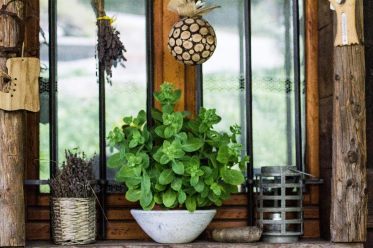 Agri-B&B Lou Col Canosio Εξωτερικό φωτογραφία