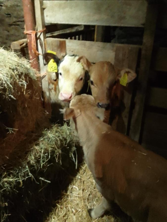 Agri-B&B Lou Col Canosio Εξωτερικό φωτογραφία