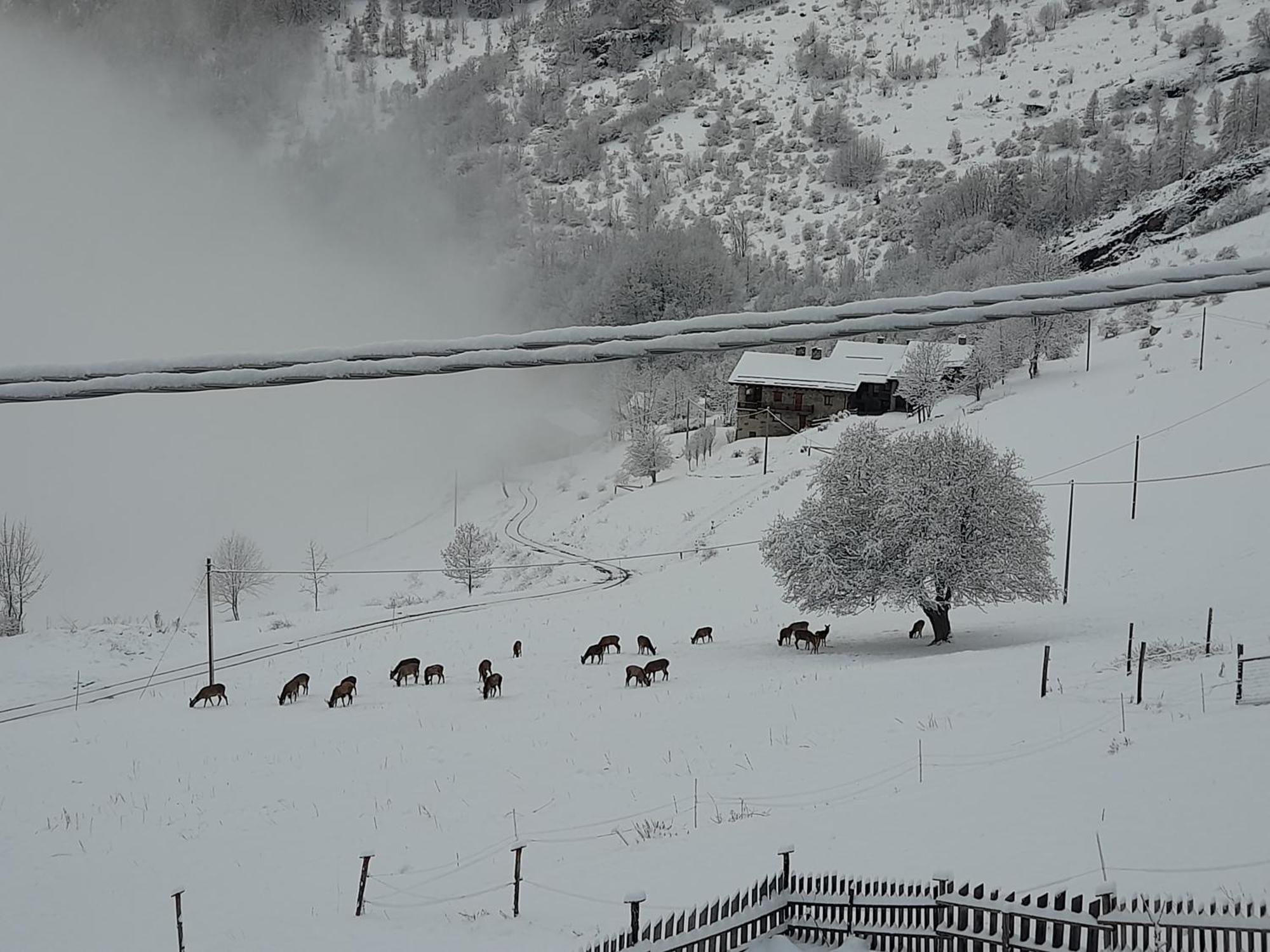 Agri-B&B Lou Col Canosio Εξωτερικό φωτογραφία